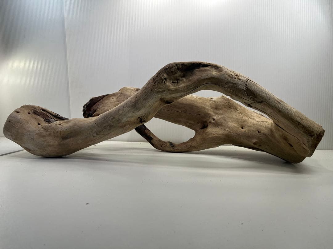 n85大型流木 アク抜き済み 爬虫類シェルター 登り木 レイアウト用 インテリア