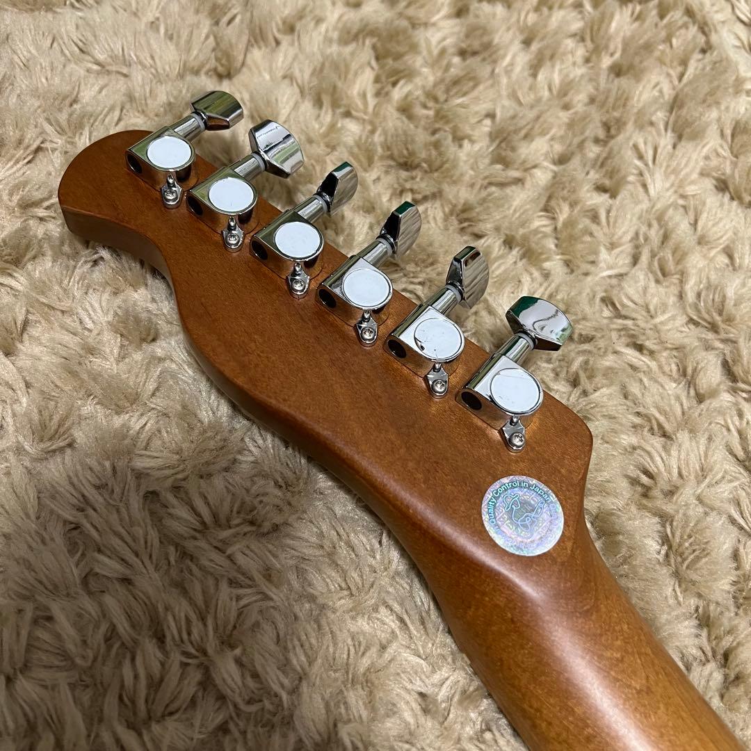 Bacchus BTE-2-RSM/M SFG テレキャスタイプ P90