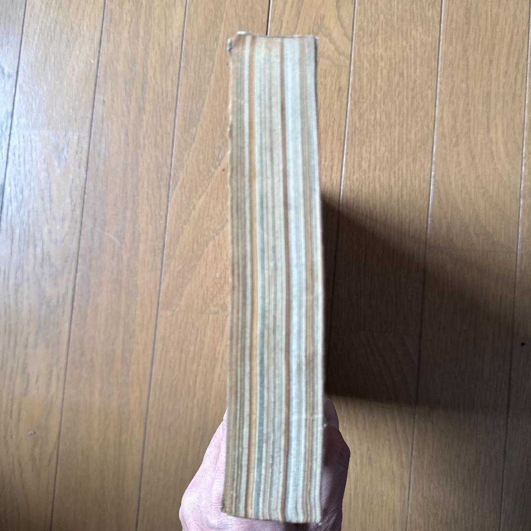 週刊少年ジャンプ 1998年6号 ONE PIECE初期掲載号