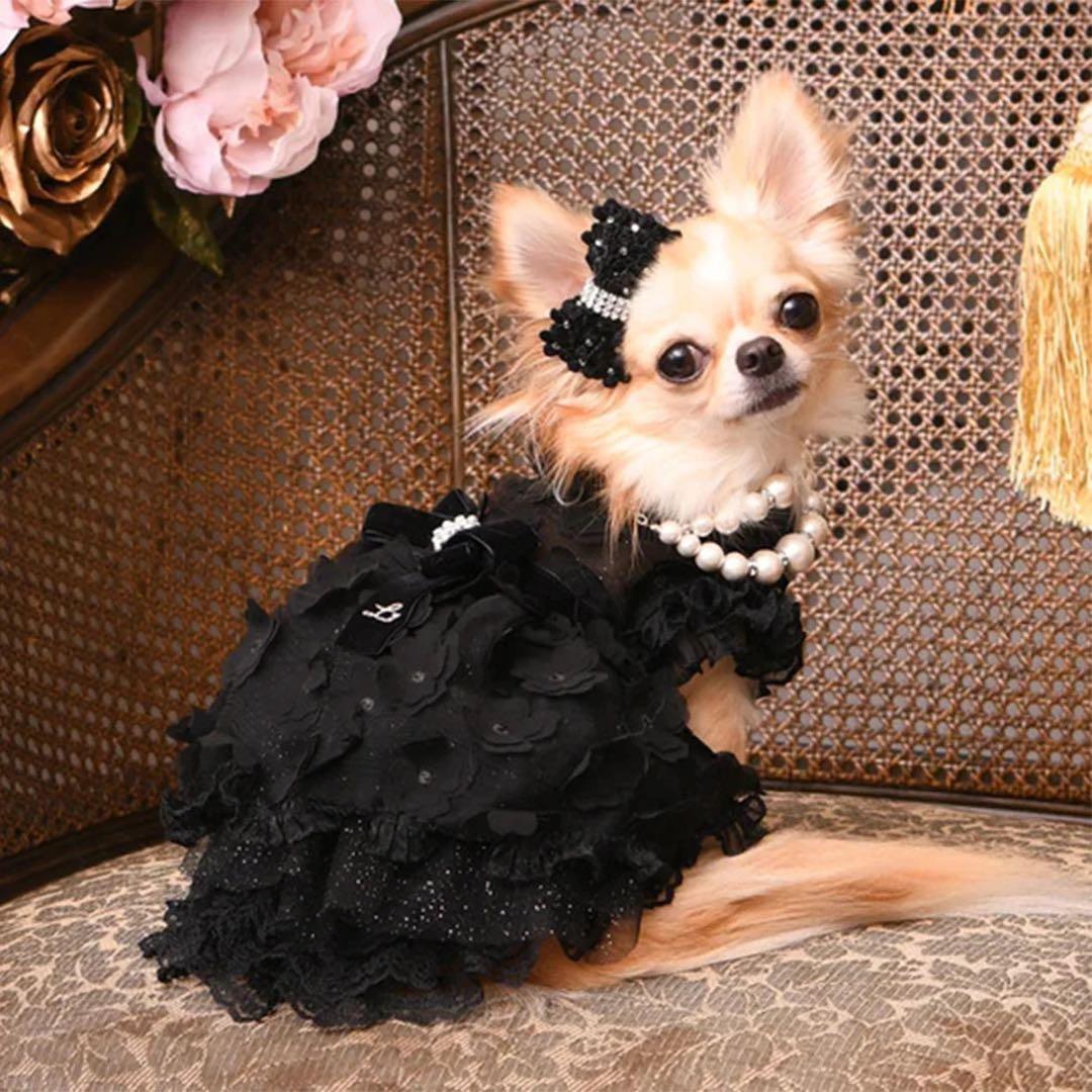 新品　Luxe birdie デビュタントドレス Mブラック