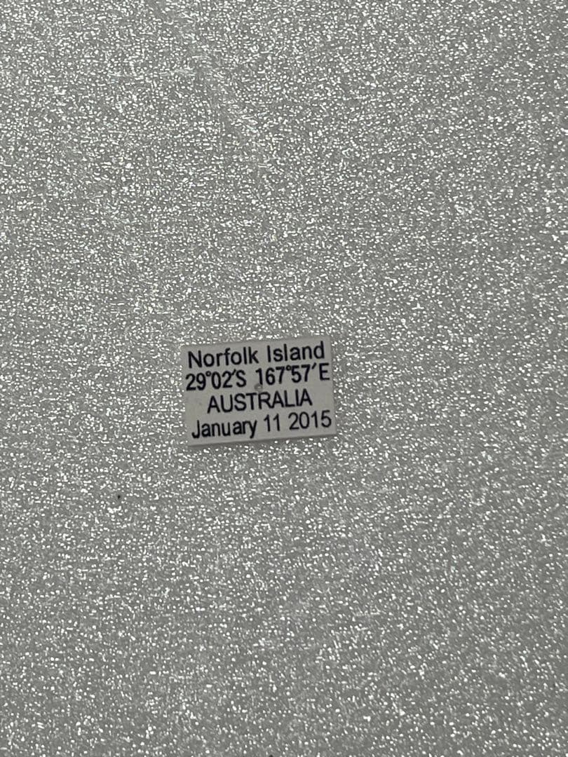 【1ペア】アミントールアゲハ（オーストラリア産）