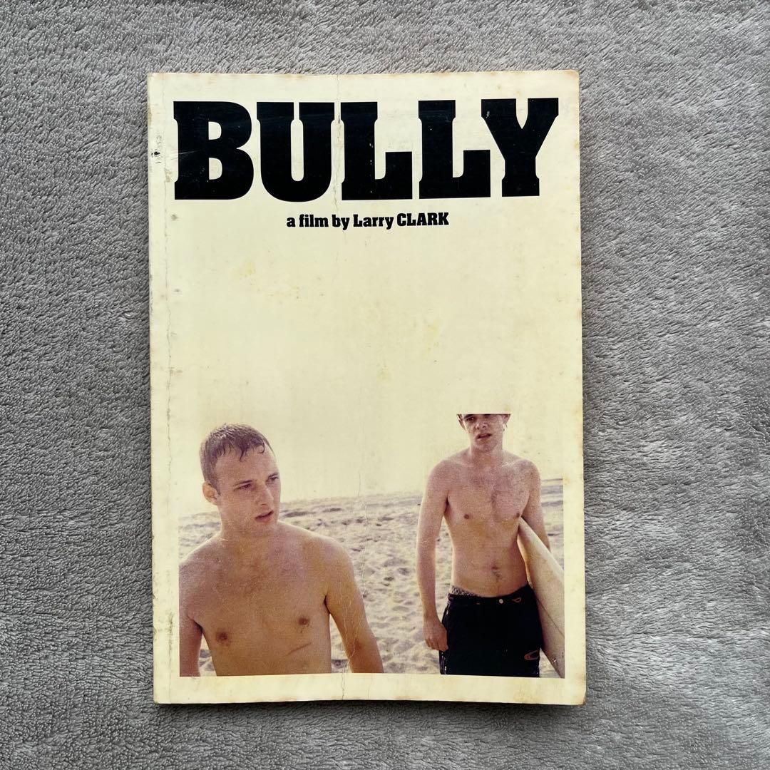 希少 Larry Clark 映画 BULLY パンフレット DVD セット