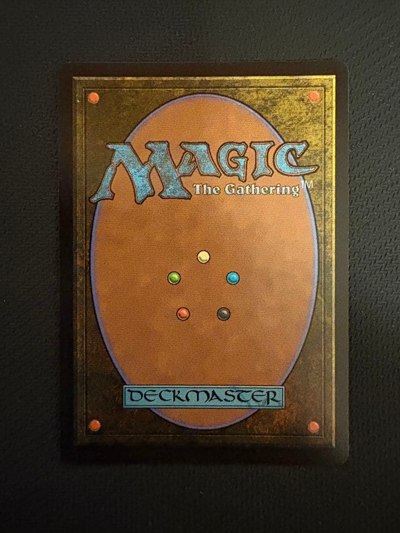 MTG 量子の謎かけ屋　日本語1枚