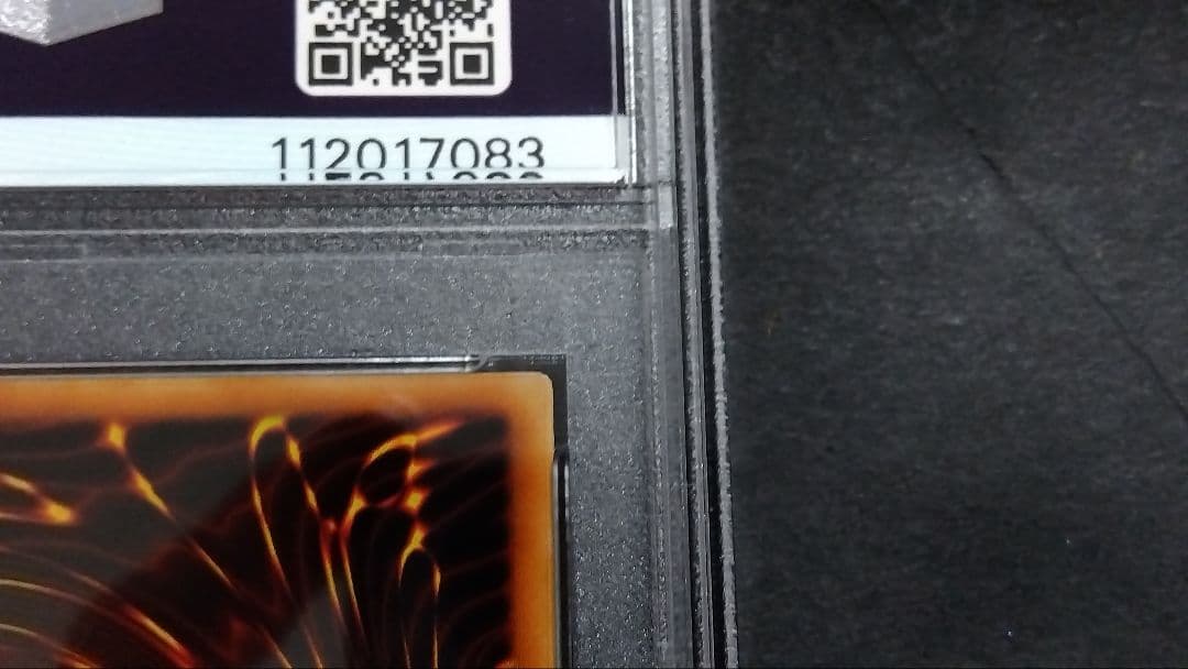 【PSA10】「砦を守る翼竜」初期 スーパー スタジオダイス版