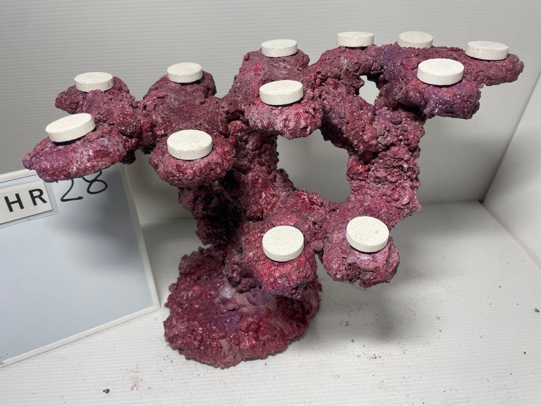 【送料無料】人工ライブロック　PHR28／12穴加工　アク抜き済み安心塗料使用