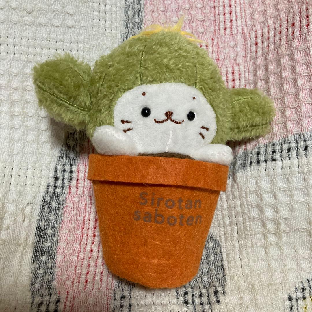 クリエイティブ　ヨーコ　しろたん　ぬいぐるみ＆ボールチェーンマスコット色々セット