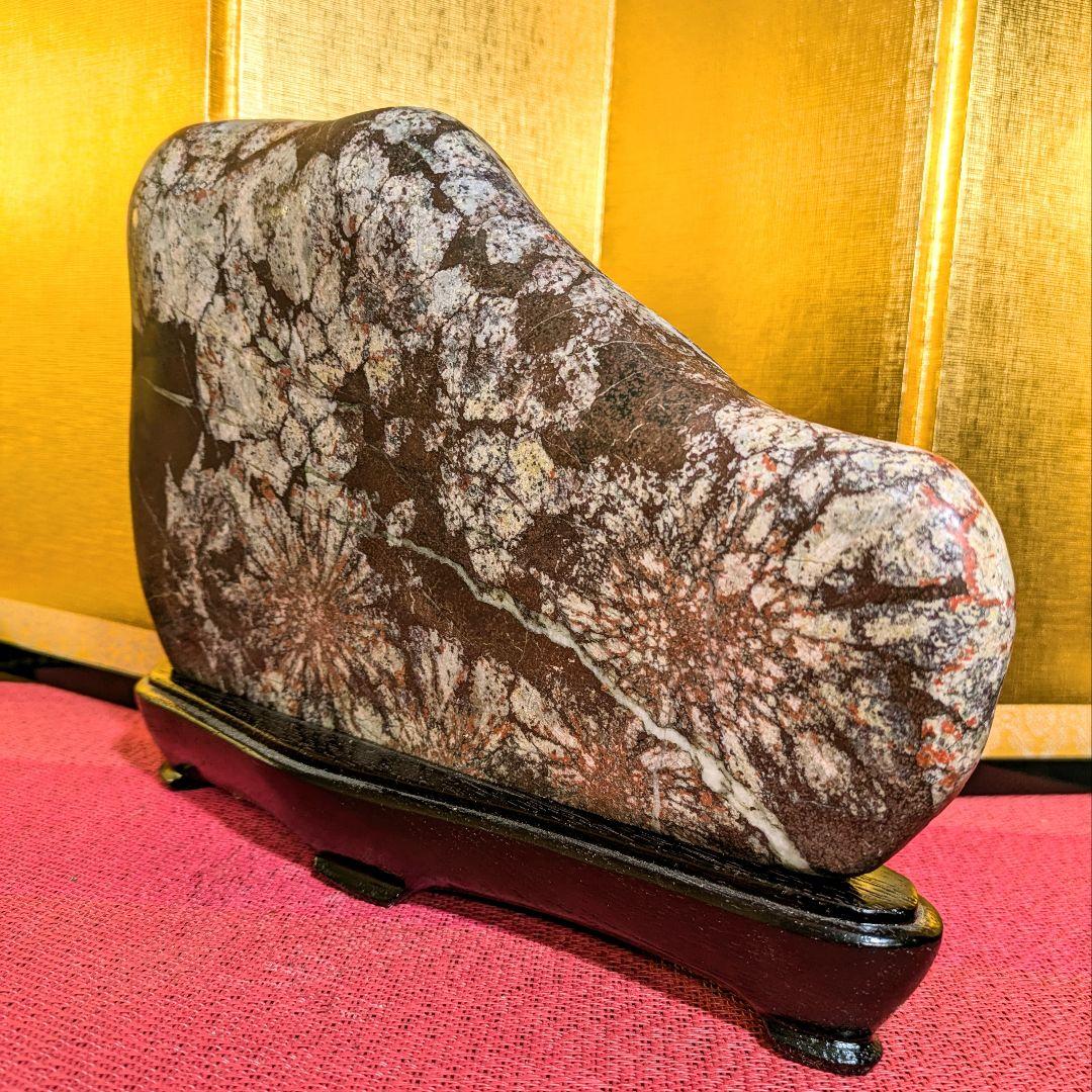 【Gojyo】菊花石 岐阜県根尾谷産5.2㌔ 鑑賞石 観賞石 水石 盆石