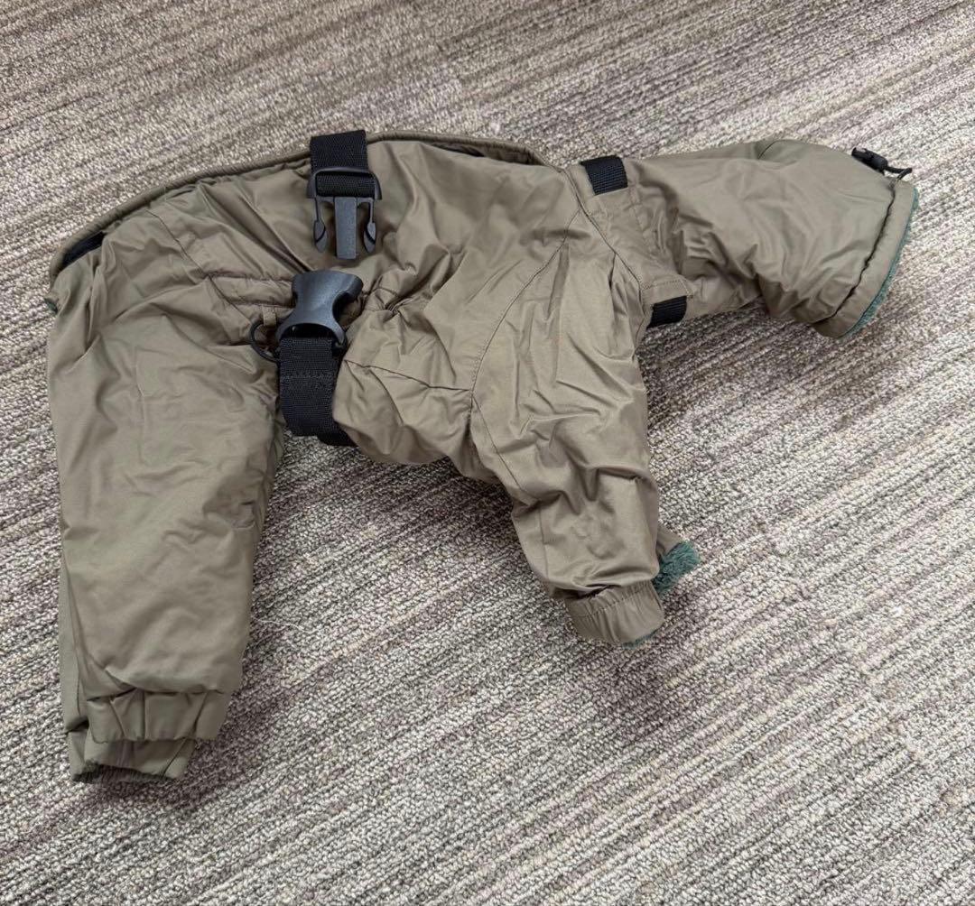 売り切り！早い者勝ち⭐︎インサレートスーツ イタグレ IS ピムリコ