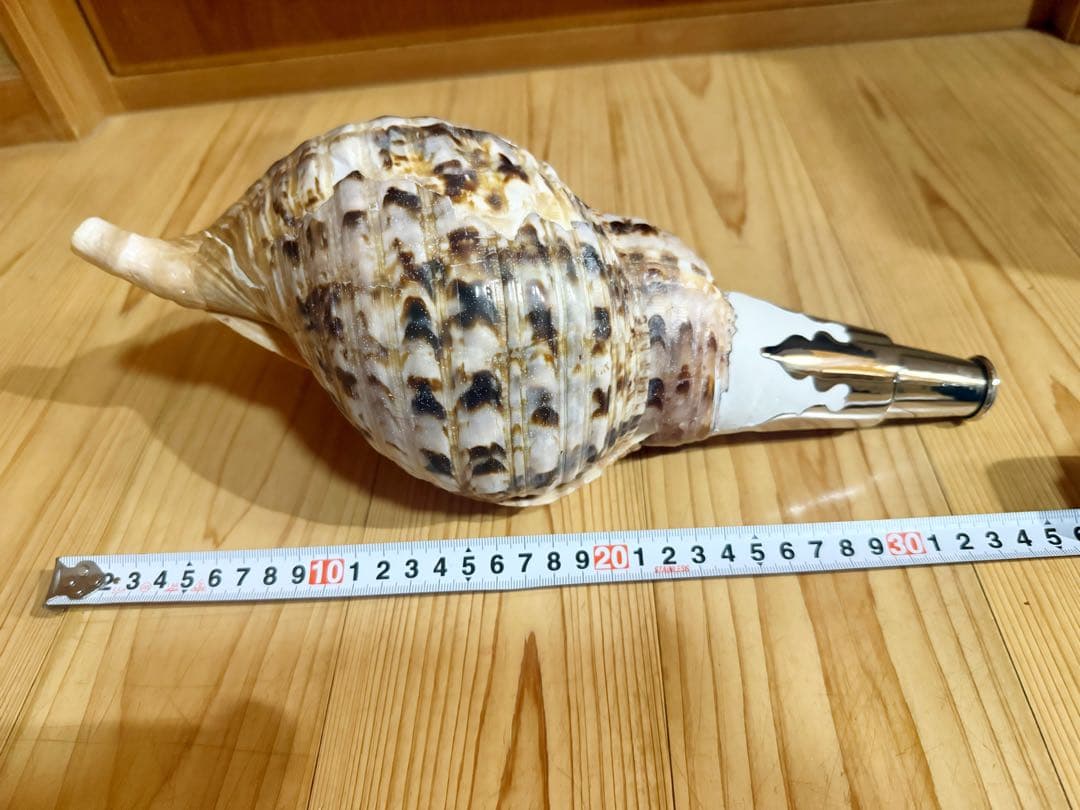 修験道法螺貝　山伏　密教　熊よけ　魔除け❣️ホラガイ　ほら貝