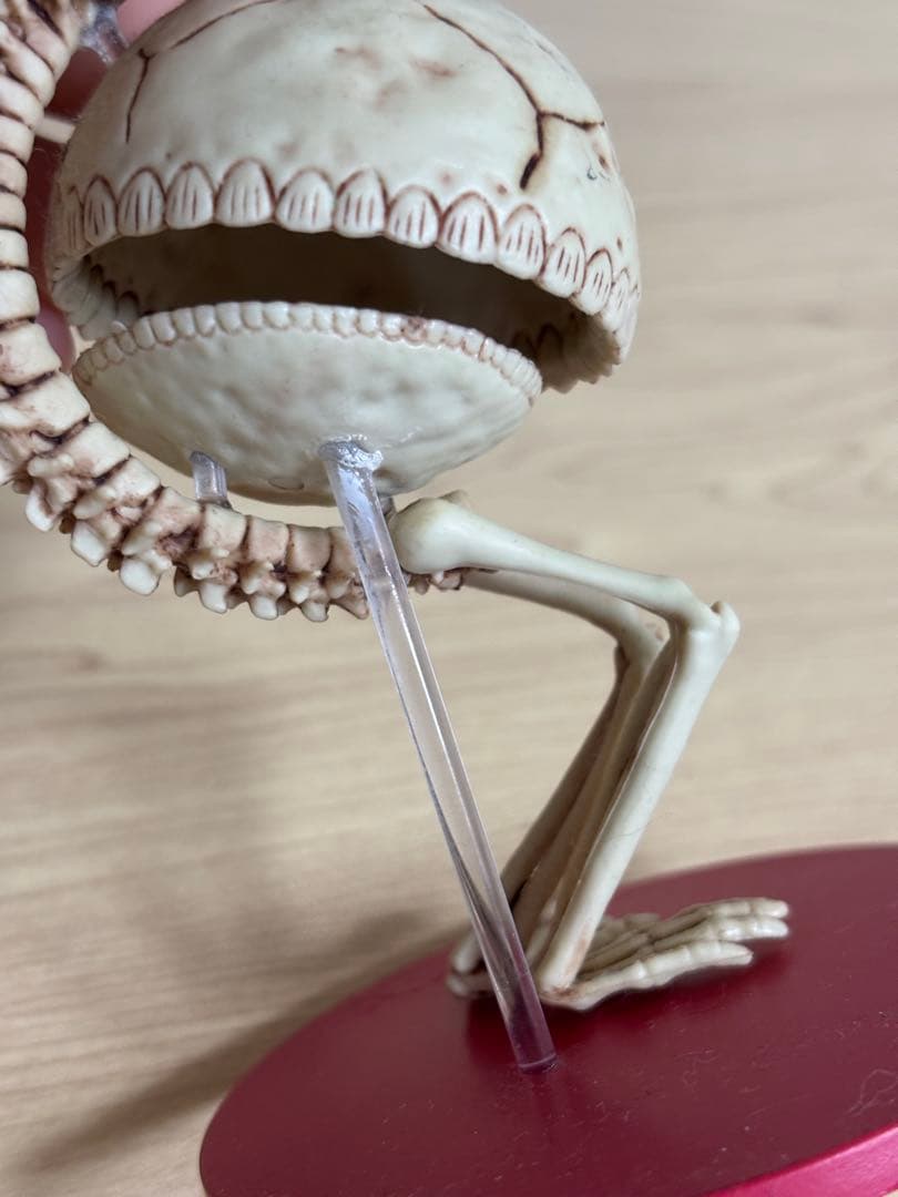 米津玄師　かいじゅうずかん フィギュア　5種コンプリートセット⭐︎箱付き