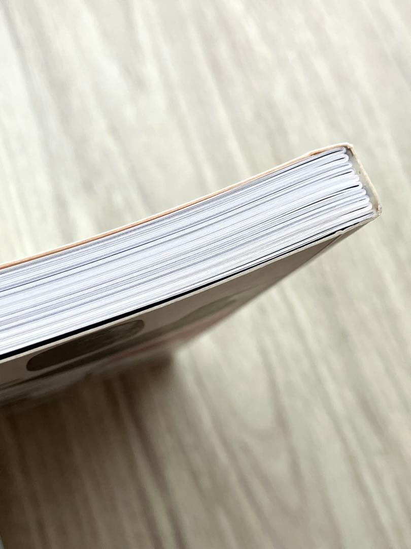 バード作品集 BIRDS BY TOIKKA - TOIKAN LINNUT