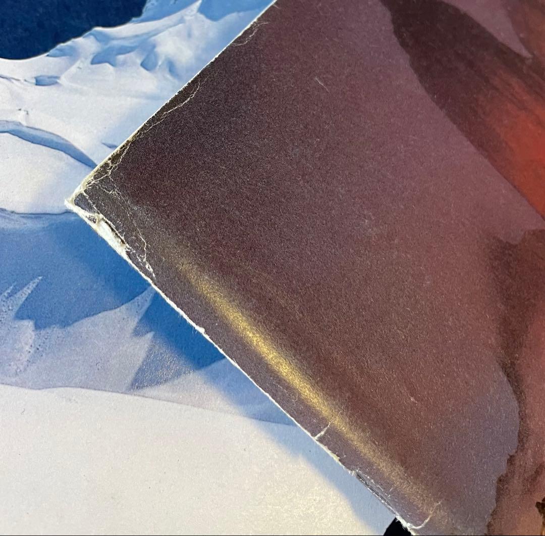 【希少】 パタゴニア patagonia WINTER 1998