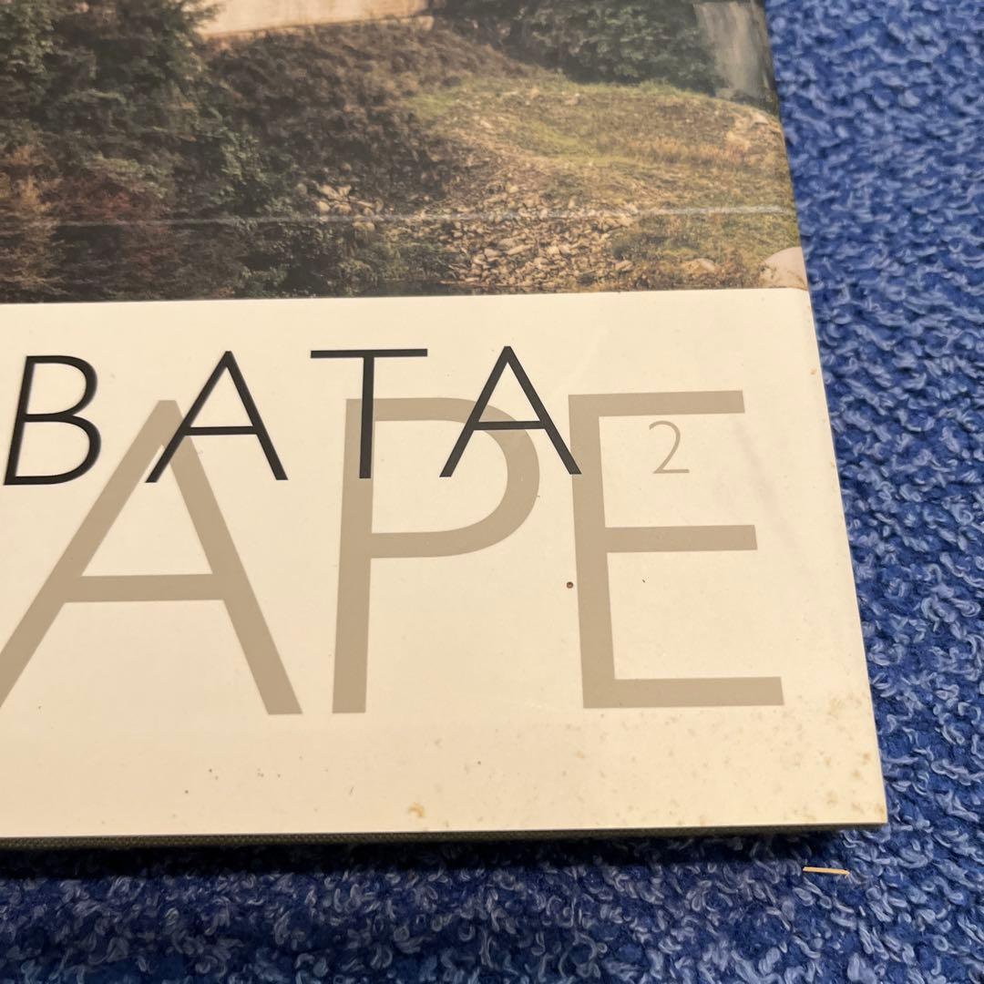 Toshio Shibata Landscape 2 柴田敏雄