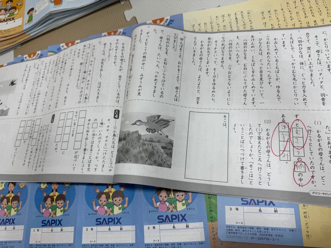 デイリーサピックス国語　２年生　2025年版 全17冊