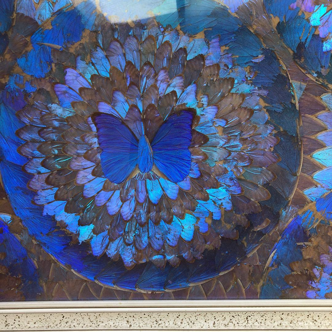 レトロ　ブラジル　青いちょうちょ　額縁　レア