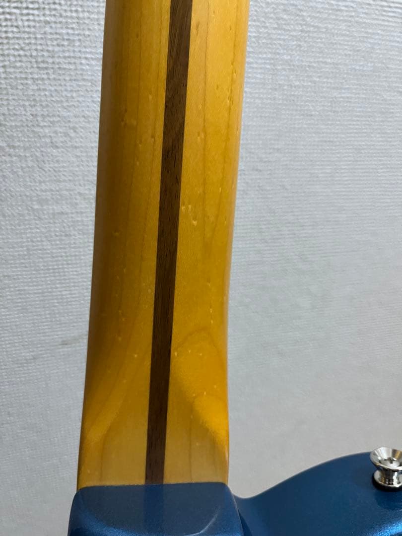 Y*i様 Fender American Professional ⅡTelec