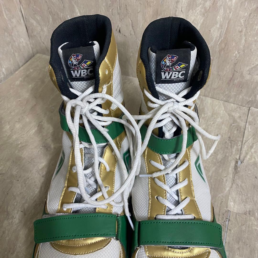 リミテッドカラー Adams アダムス Vプロ WBCモデル US13 31cm