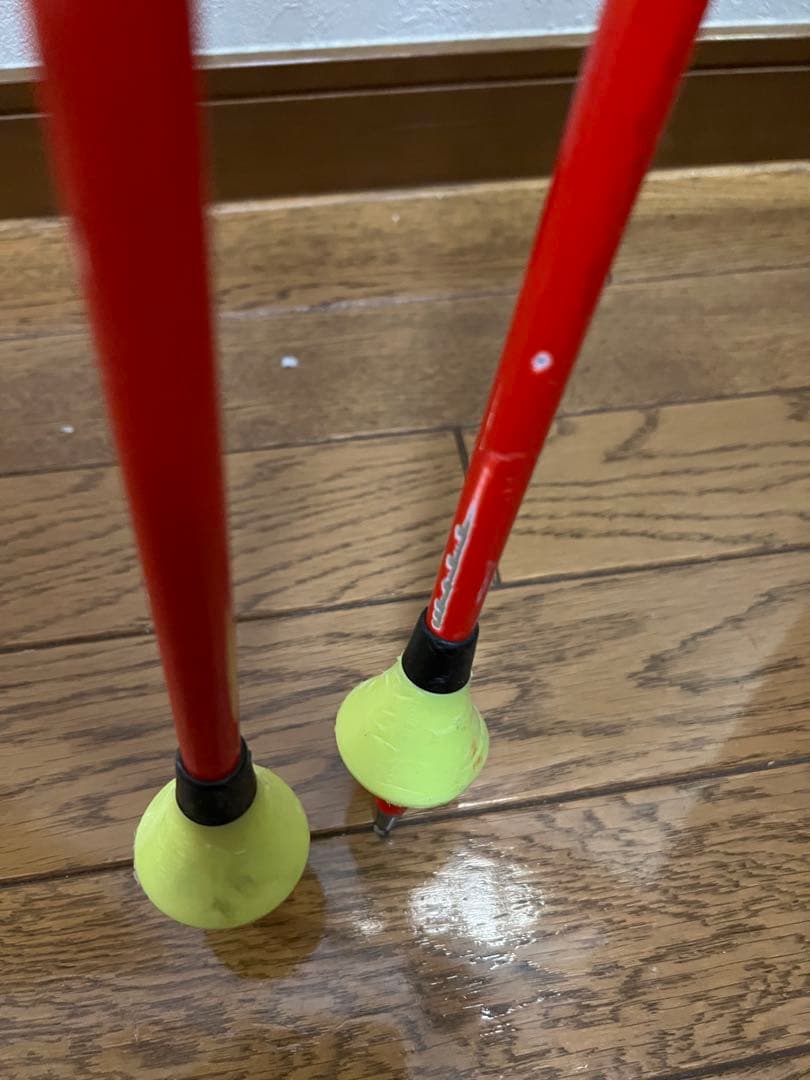 スキー LEKI WCR TBS GS 3D 120cm