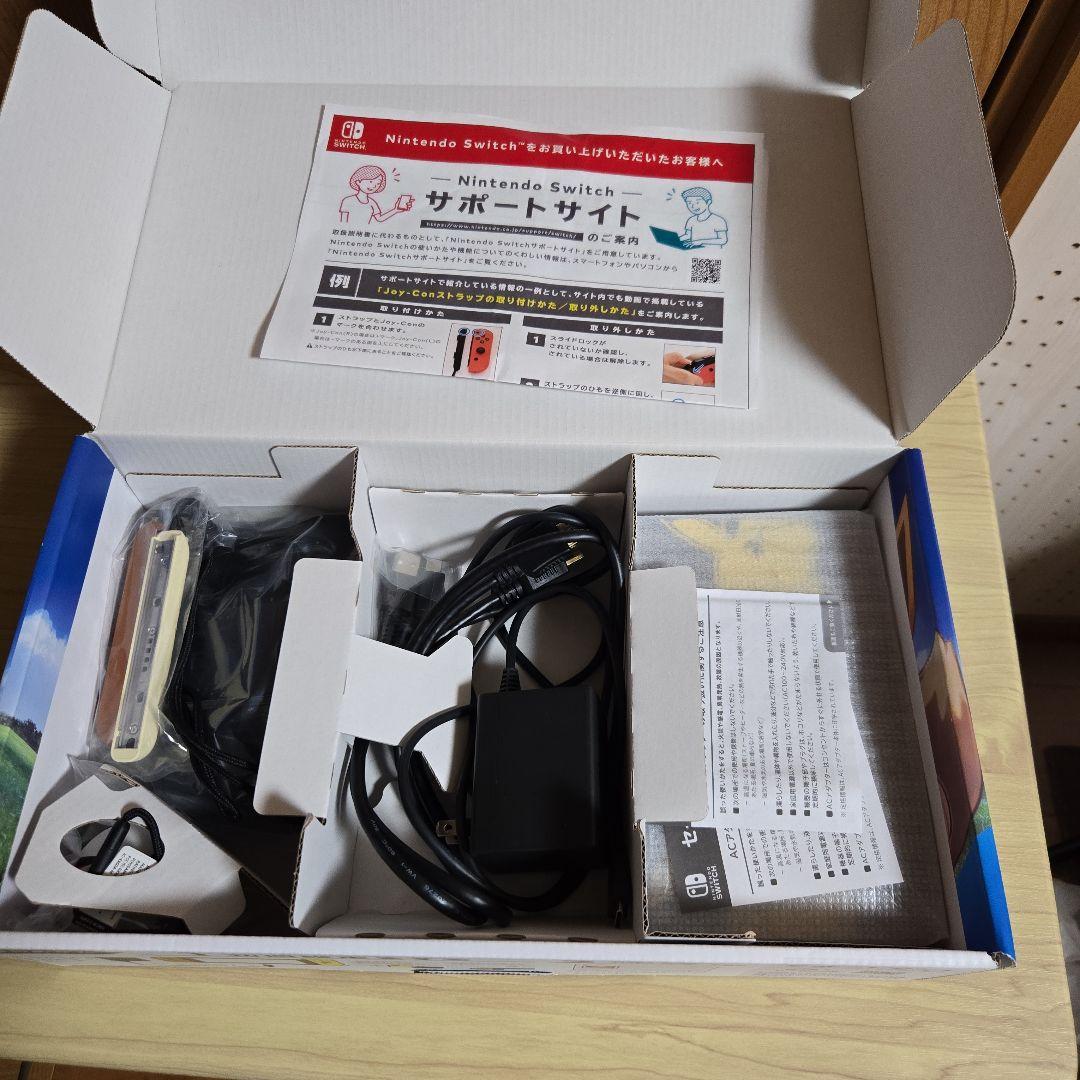 任天堂switch ポケットモンスター　本体イーブイデザイン