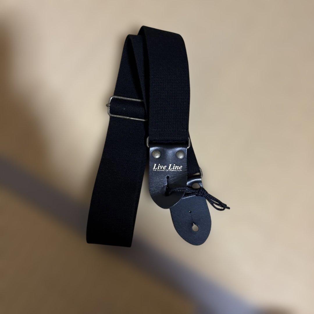 BUSKER’S バスカーズ BLS-500HCS レスポールスタンダード美品