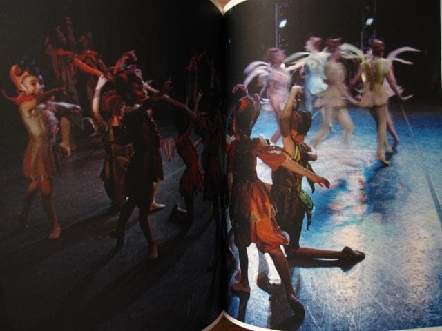 アート・デザイン・音楽 Photographs of the New York City Ballet