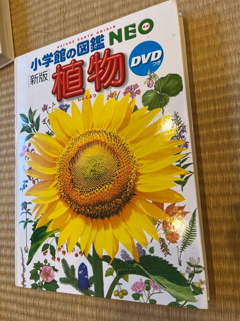 小学館の図鑑NEO 11巻セット