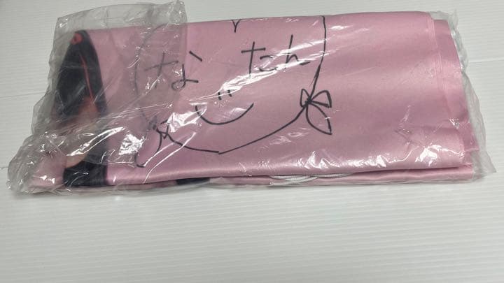 齊藤なぎさ　等身大タペストリー