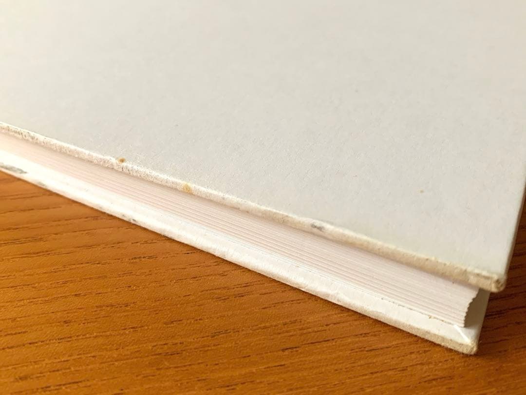 バーゼルへの道　ヘルムート・シュミット