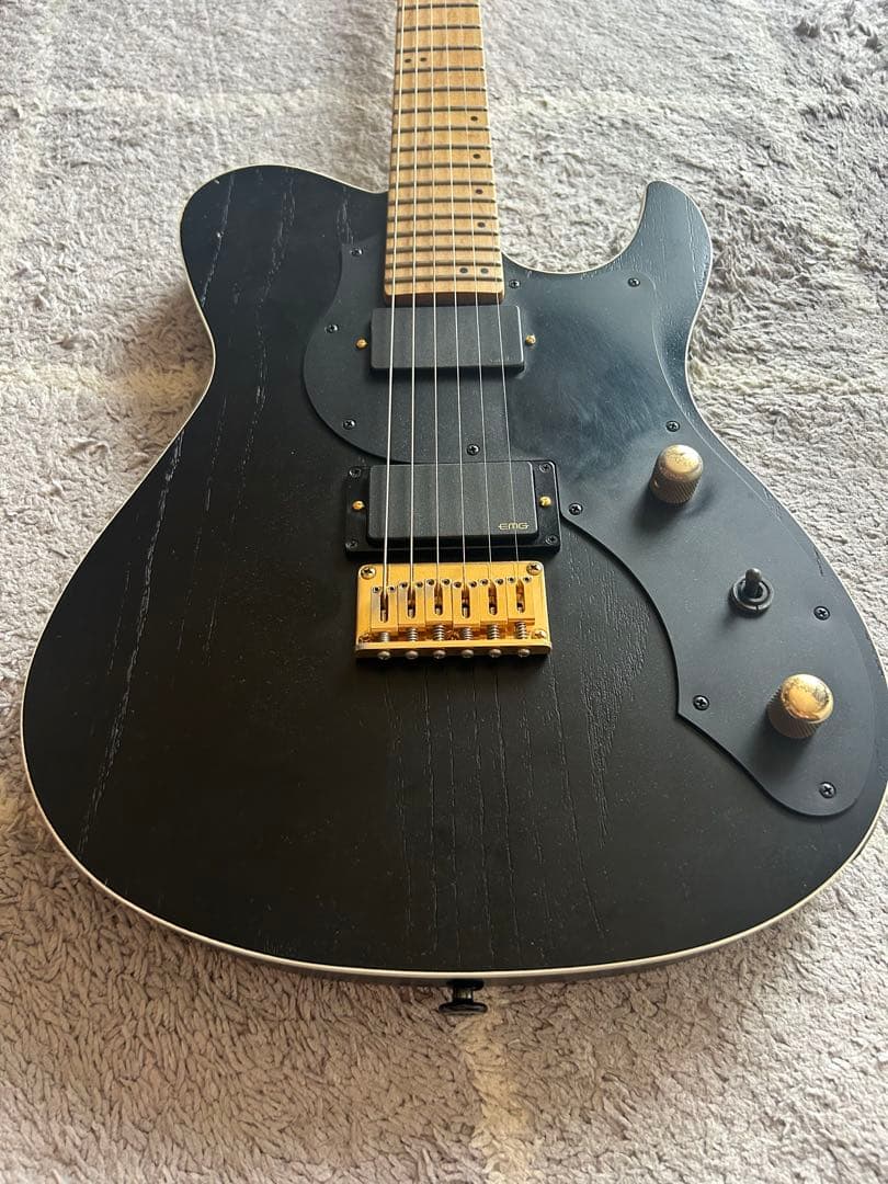 ギター FNG FUJIGEN JIL-ASH-DE664 EMG