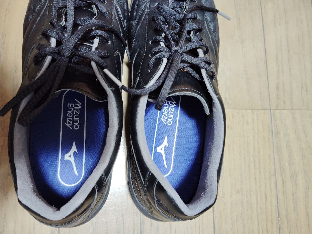 Morelia sala japan モレリアサラ ジャパン in　25cm