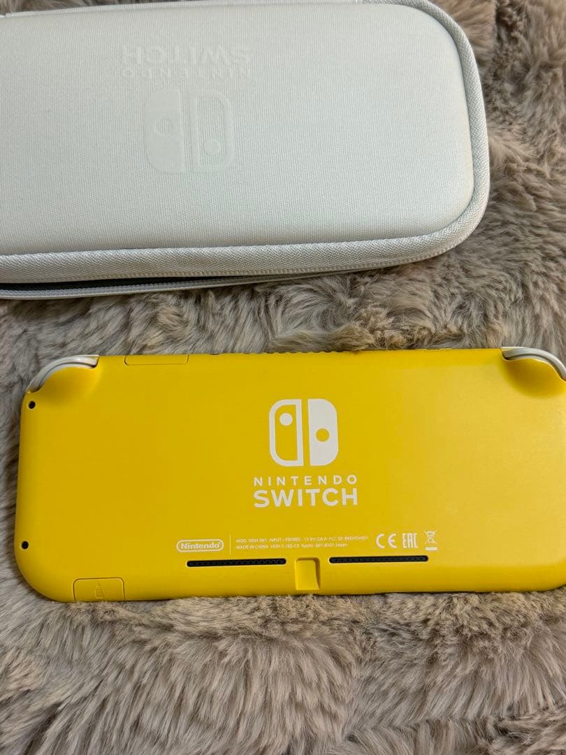 Switch らいと　　カセット２つ　　ケース　　セット