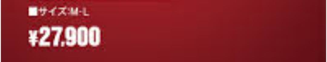 KISSMARK × GACKT　Rouge et Noir　ジャケット　【L】