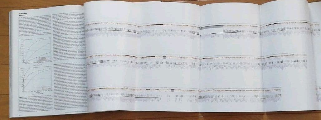 ネイチャー　ヒトゲノム特集号　2冊組