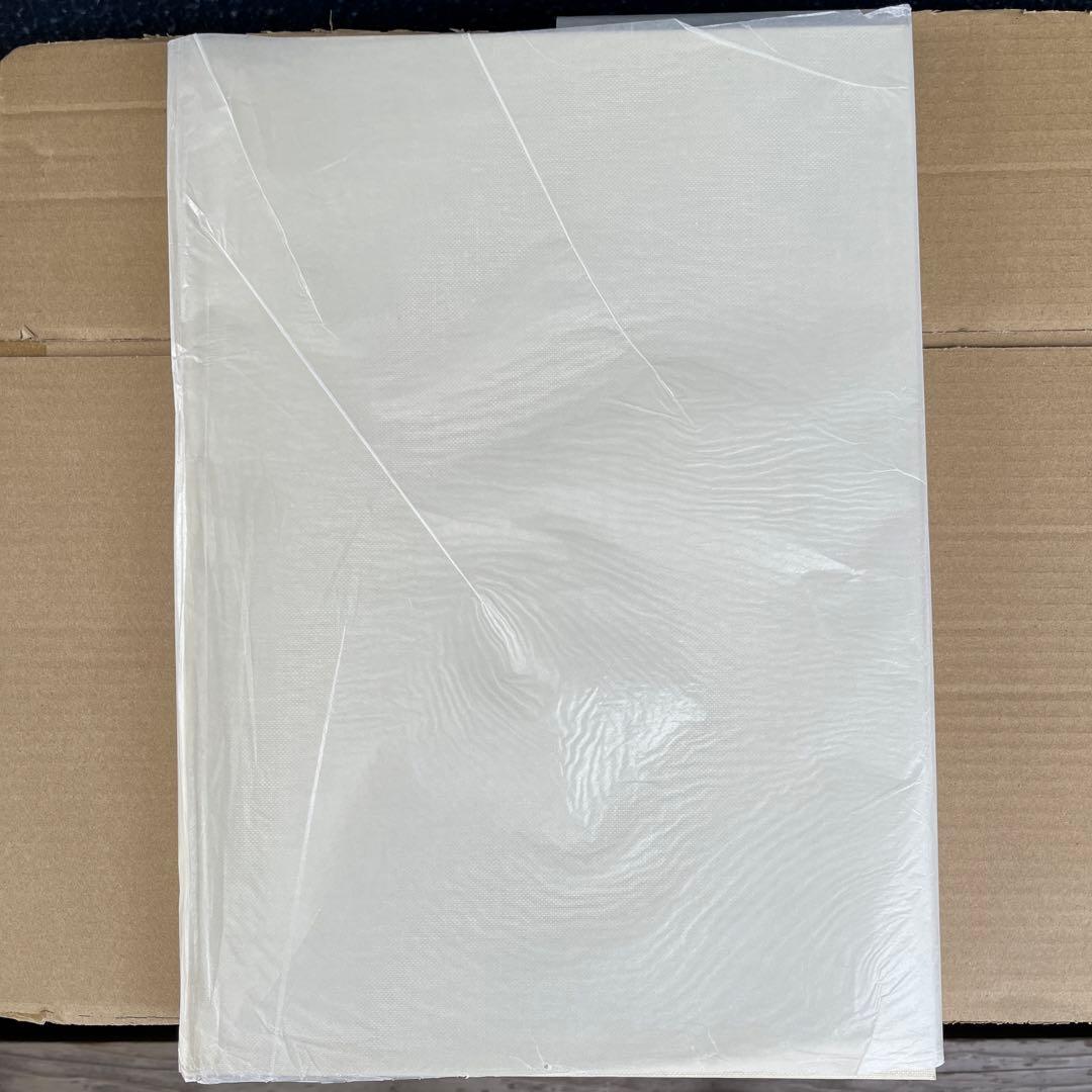 自選自註　石川九楊作品集 新潮社