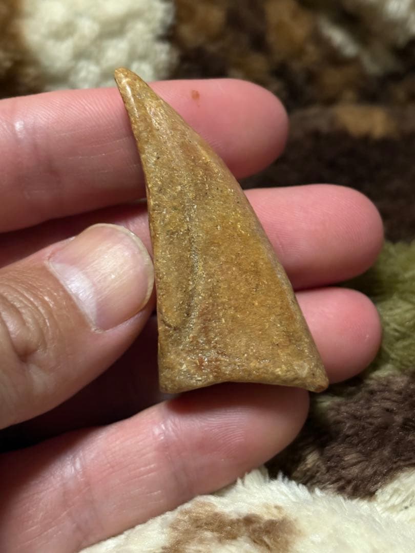 スピノサウルス　フットフロウ　化石