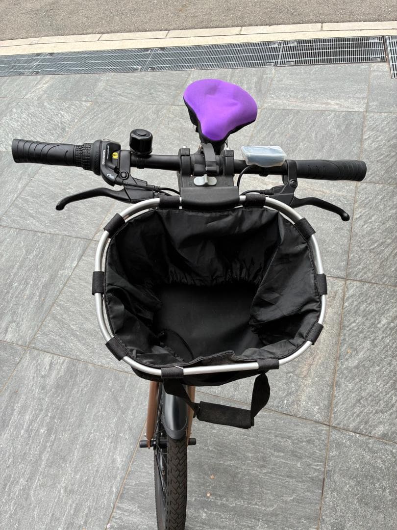 【引き取り限定】X20 折りたたみ電動アシスト自転車 Pykes Peak