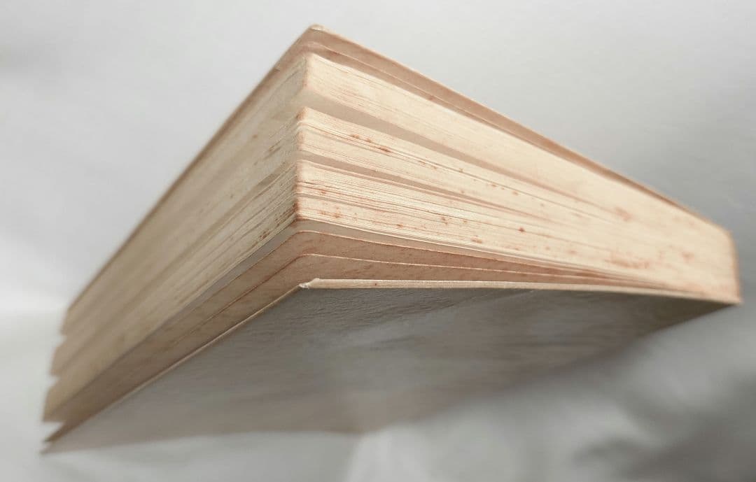 【昭4年初版】『巴里の横顔 プロフヰル』 藤田嗣治 著 実業之日本社 1929