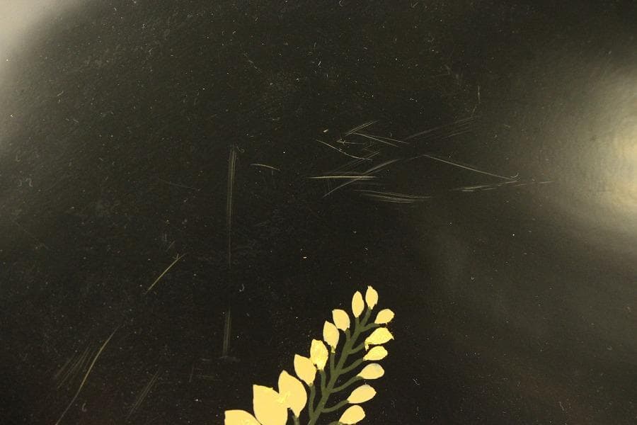 初瀬川柳庵 藤花盆 九客 共箱(LC958)