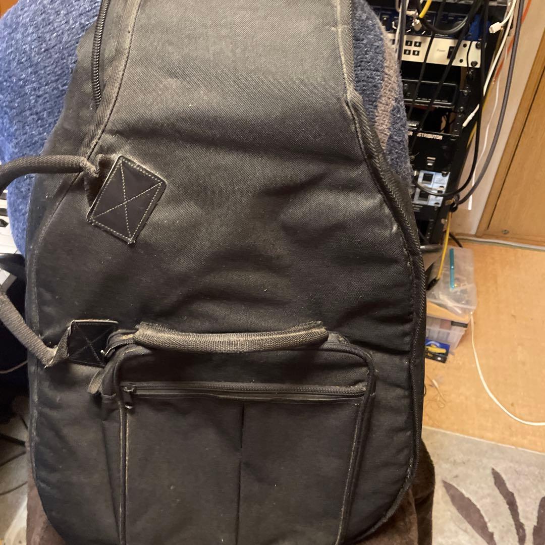 Taylor DN3 アコースティックギター