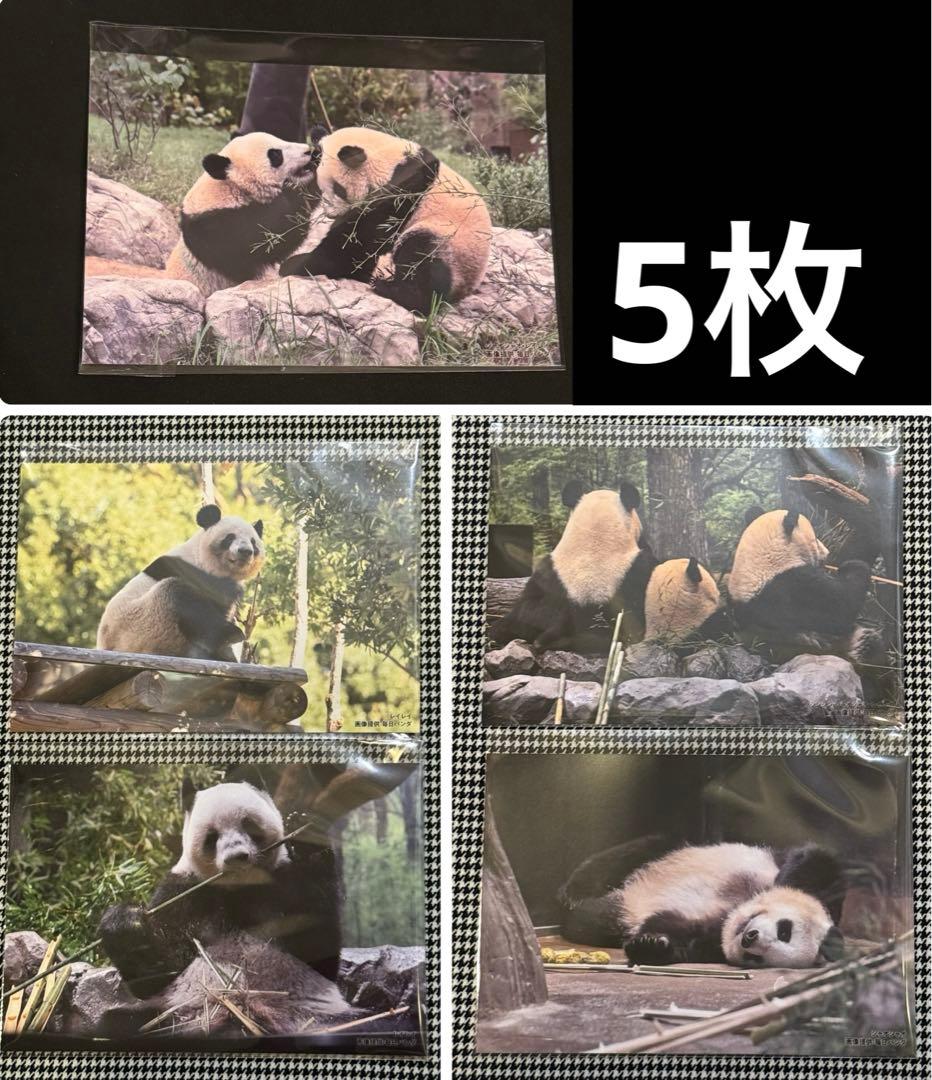 上野松坂屋 毎日パンダさんの双子の思い出 ポストカード 上野動物園 パンダ
