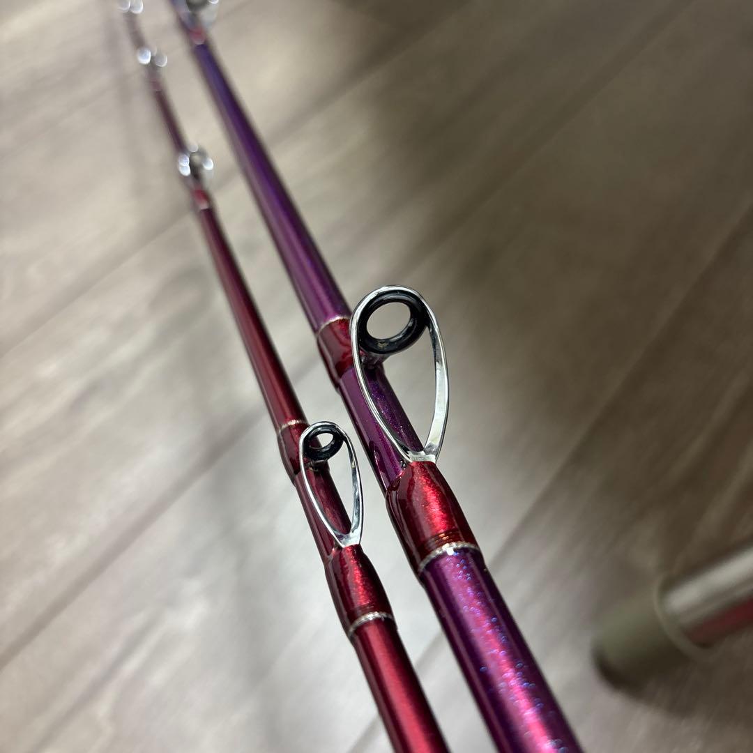 ロッド Daiwa LEADING-X HIRAME 300