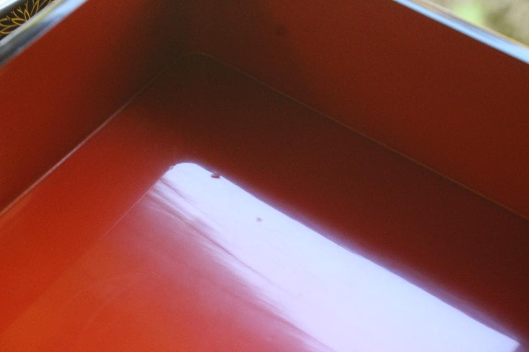 デッドストック！上質内朱黒漆に極上菊沈金の映える台付輪島塗二段重（検重箱お重