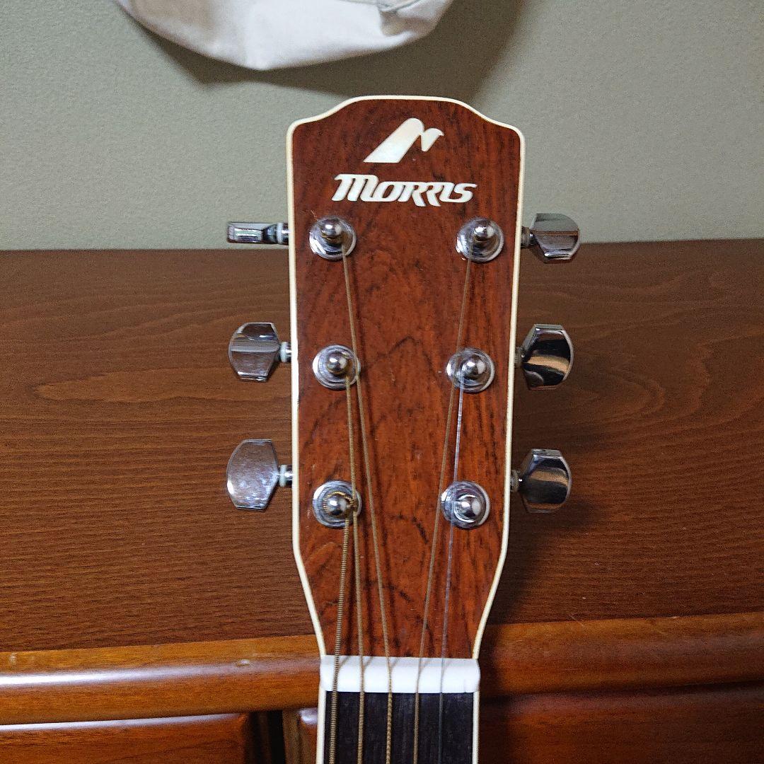 Morris アコースティックギター ジャンク