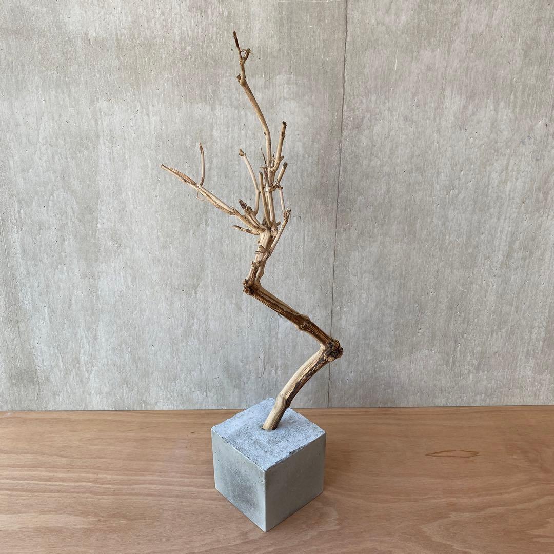 【コンクリート盆栽 流木オブジェ】ディスプレイ アート インテリア 鍵 爬虫類