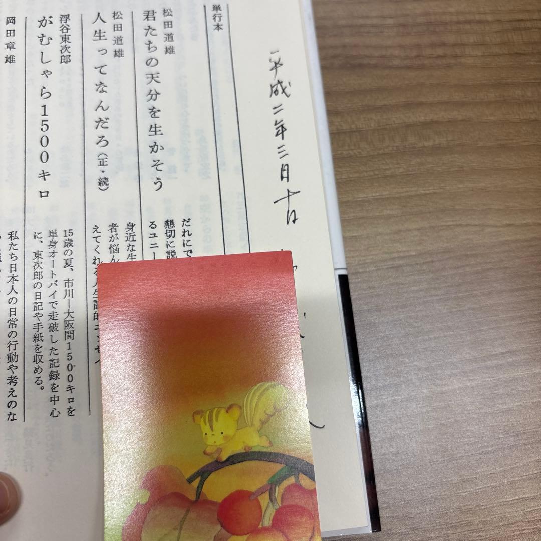 バイキング王物語 山家静 英潮社