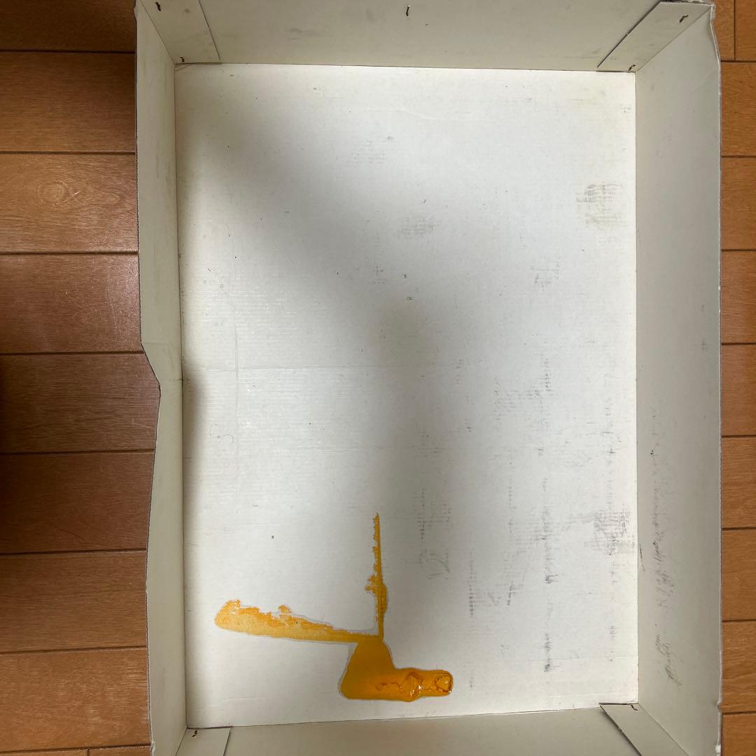 最終値下げTamiya Nissan Skyline GT-R Nismo