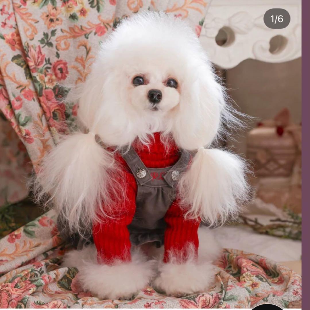 デニムジャンバースカート PPクローゼット