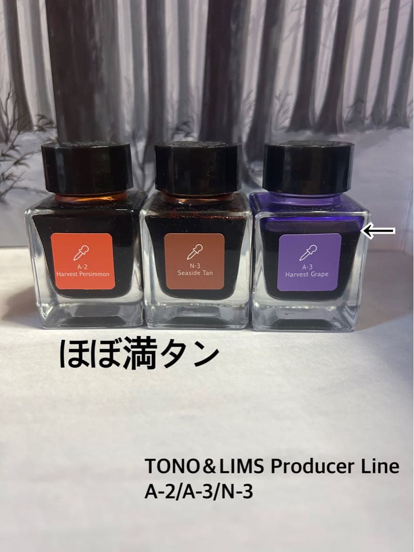 万年筆 ガラスペン インク とのりむ 文具館コバヤシ等 セット