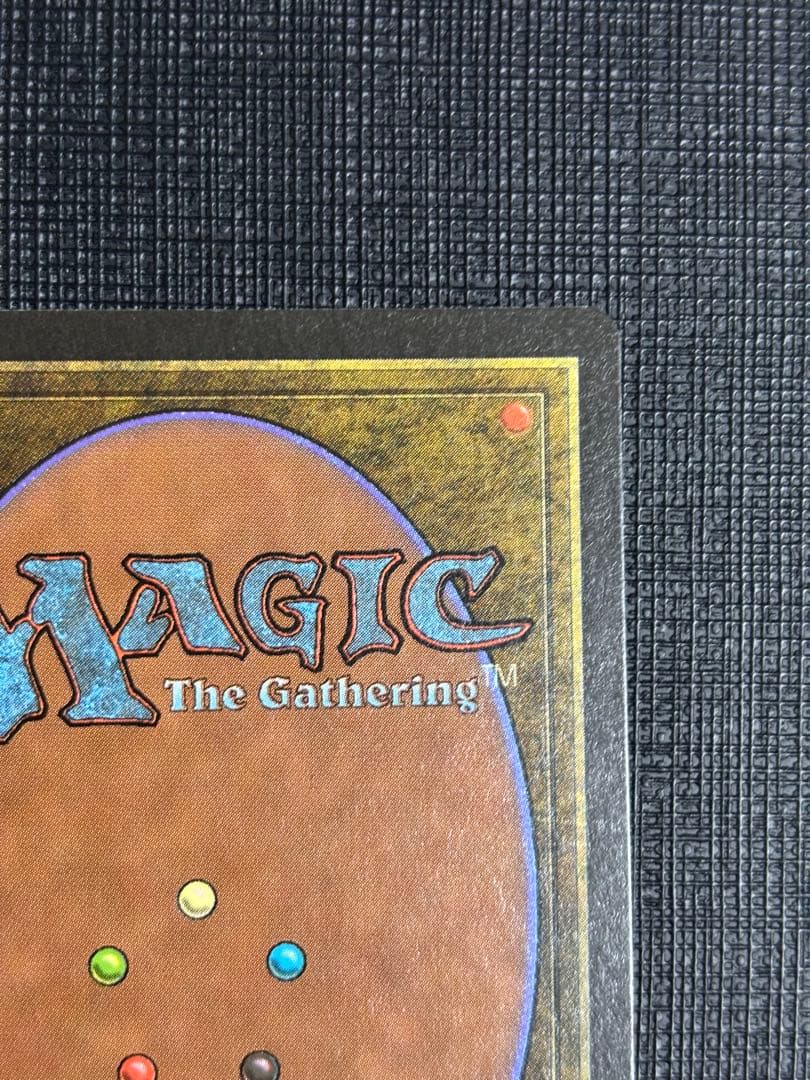 Northern Paladin/北の聖騎士/LEB