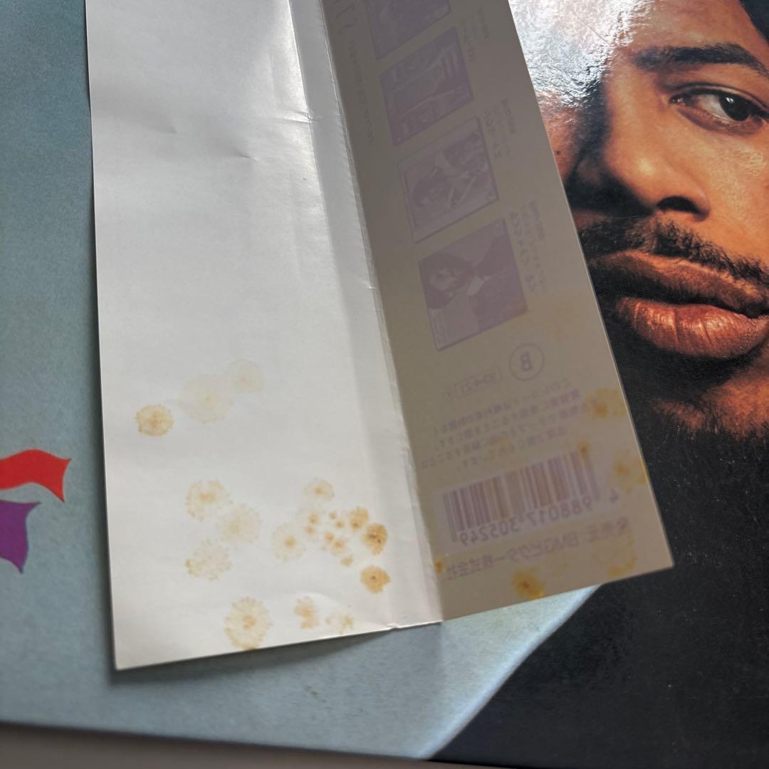 Gil Scott-Heron Pieces of a Man LP レコード